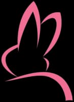Logo Provocah