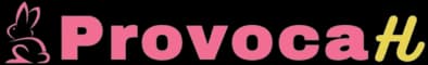 Logo Provocah
